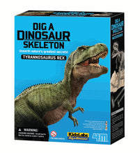 Load image into Gallery viewer, 4M Dig A Dino Series I, Assortment, 3 Styles
