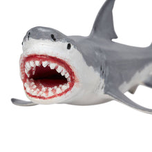 Load image into Gallery viewer, Megalodon - 303329
