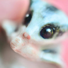 Load image into Gallery viewer, Sugar Glider Necklace
