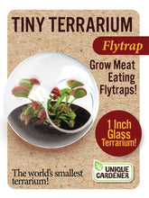 Load image into Gallery viewer, Tiny Terrarium Carnivorous Glass Terrarium Counter Display
