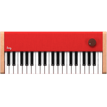 Load image into Gallery viewer, Loog Piano
