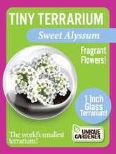 Load image into Gallery viewer, Tiny Terrariums Flowering Counter Display with 6 Varieties
