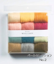 Load image into Gallery viewer, Japanese Wool Roving Felting 12 Color Candy Kit: Col.2
