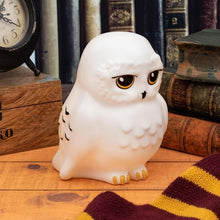 Load image into Gallery viewer, Hedwig Light
