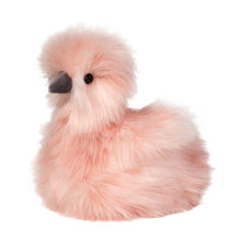 Load image into Gallery viewer, Douglas Silkie Chick
