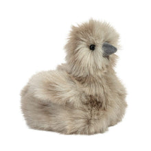 Load image into Gallery viewer, Douglas Silkie Chick
