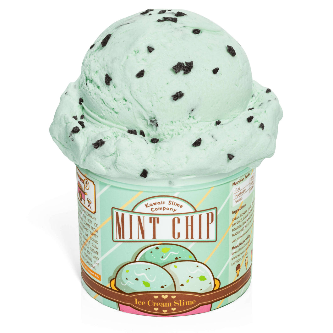 Kawaii Mint Chip Scented Ice Cream Pint