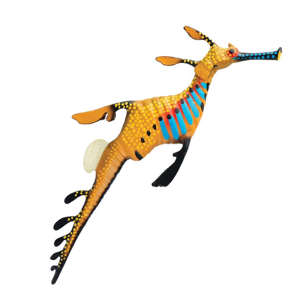 Weedy Seadragon - 252629