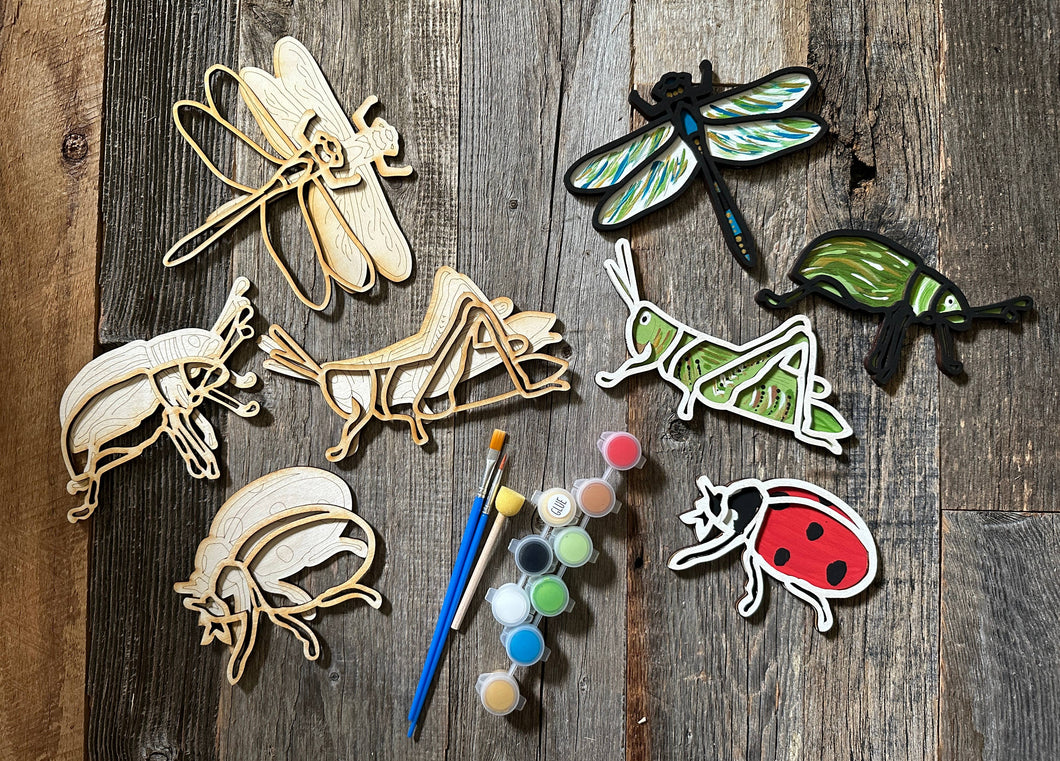 Mini DIY painting bugs and insects