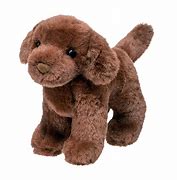 Douglas Sylvia Chocolate Lab