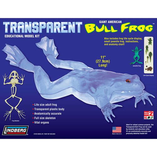 Transparent Bull Frog 11-Inch Model Kit