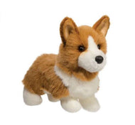 Douglas Louie Corgi